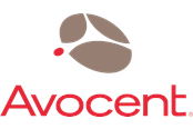 Tjänster och support - Avocent Hardware Maintenance Silver - garantiforlængelse - 1 år - 1YSLV-ACS48PT