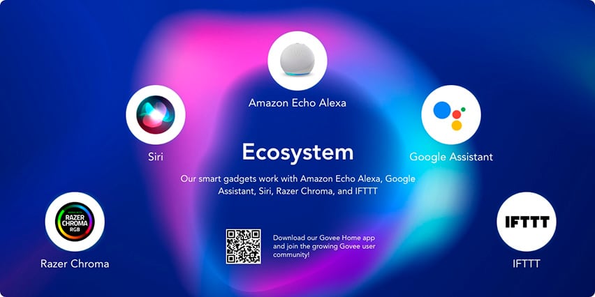 Govee system 